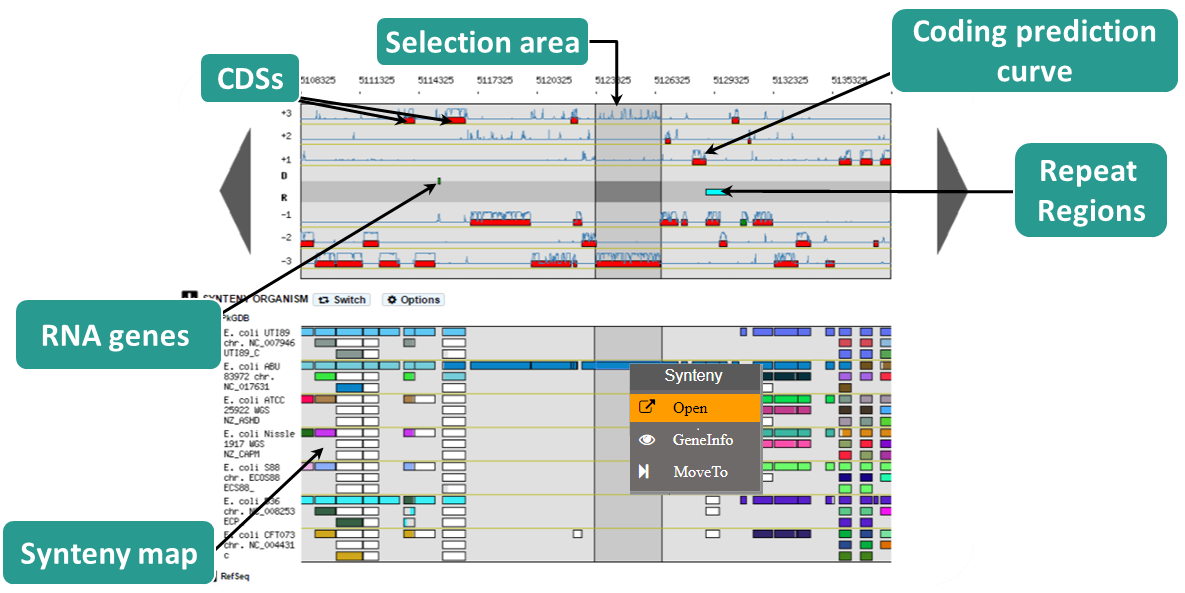 ../../_images/BG_overview1bis.png