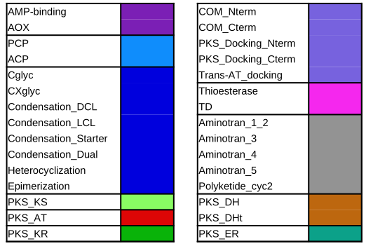 ../../_images/antiSMASH7_colorcode_domains.png