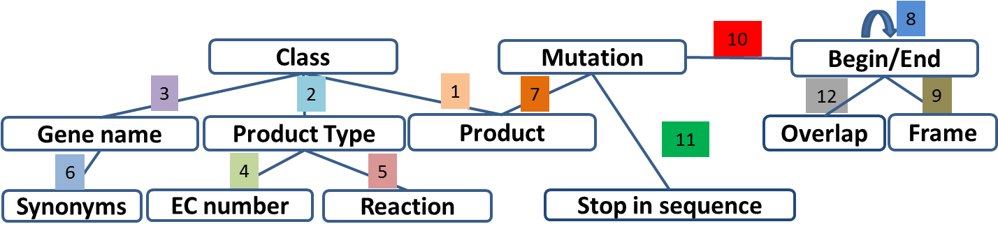 ../../_images/user_schema_coherence.png
