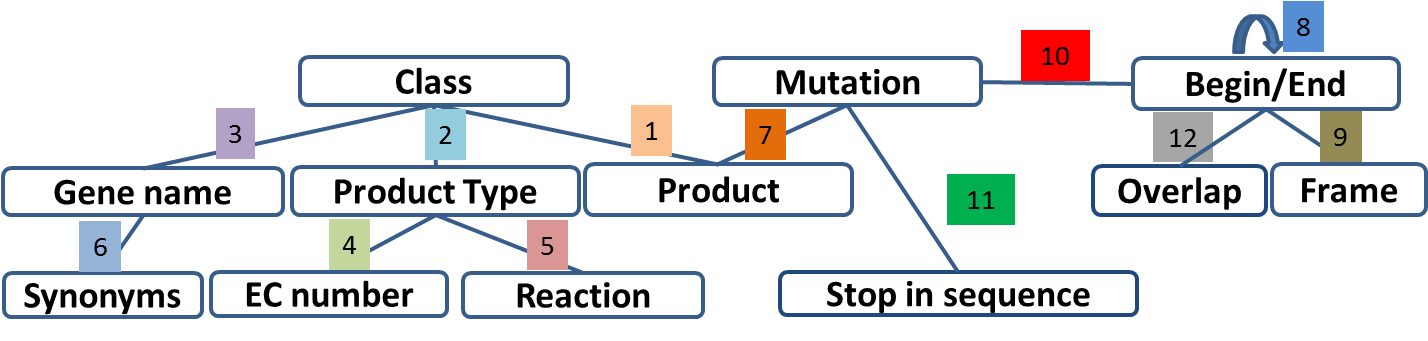 ../../_images/user_schema_coherence.png