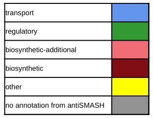 ../../_images/antiSMASH6_colorcode_features.png